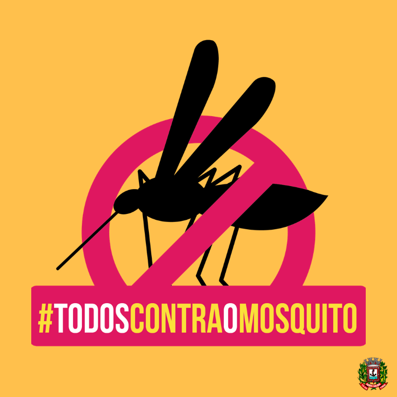 FIQUE ATENTO NOS CUIDADOS COM O AEDES AEGYPTI!